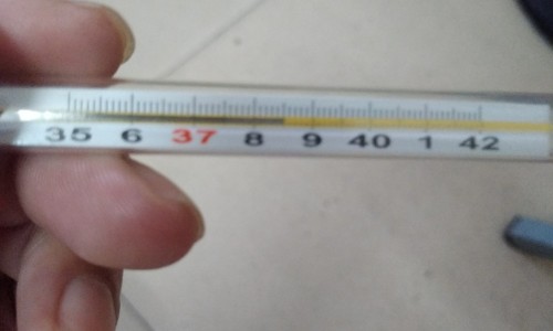 熟地价格2020最新价格-【熟地价格多少一斤】熟地价格一览表 - 熟地 价格网