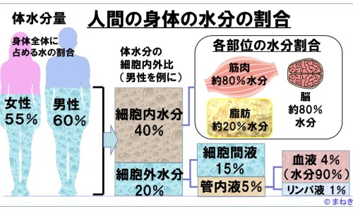 熟地价格走势图-【熟地价格多少一斤】熟地价格一览表 - 熟地 价格网